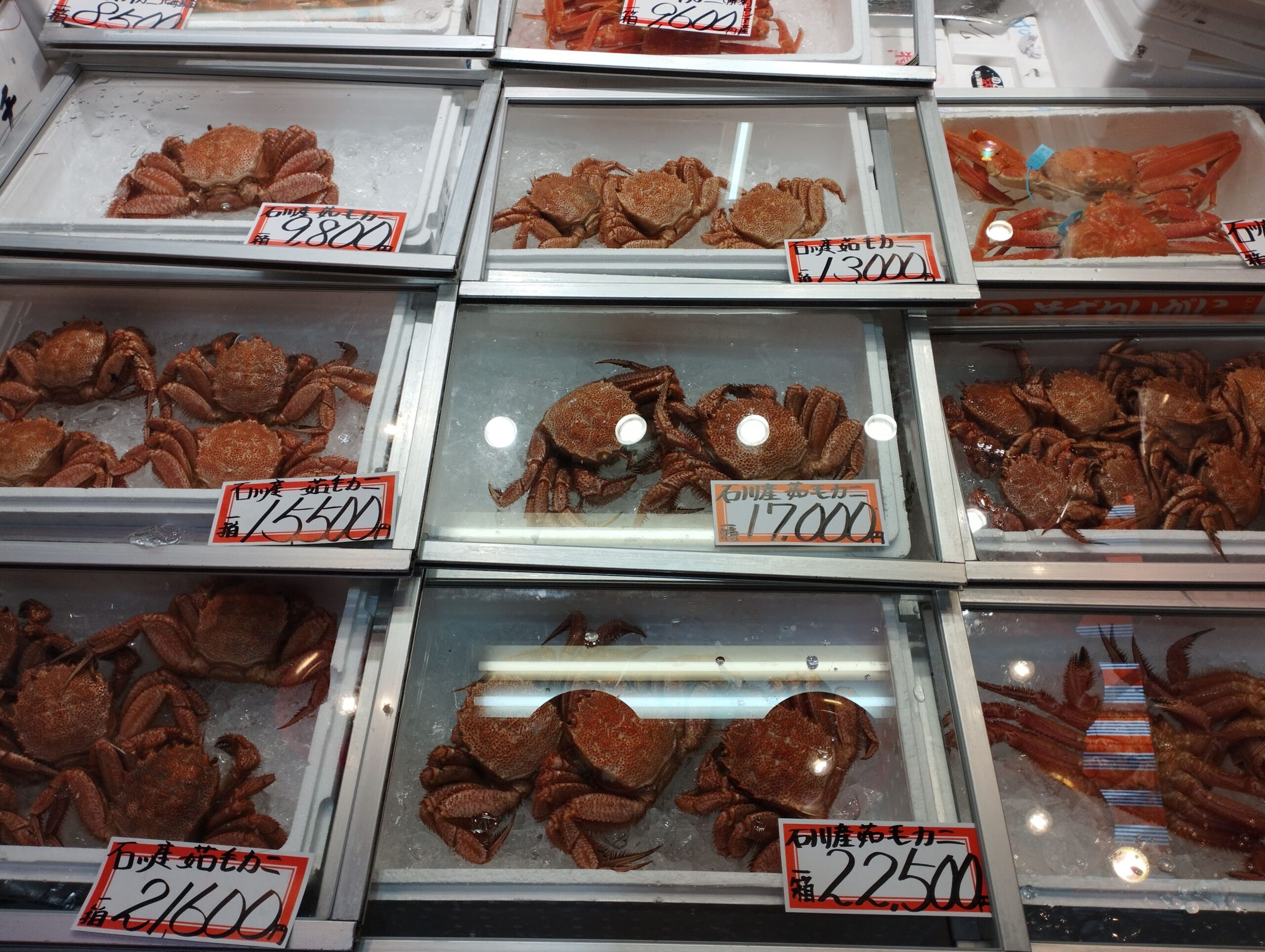 市場でケースに入った蟹